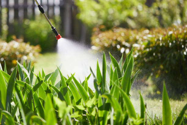 24/7 Emergency Ant Control experts in St. Simons, GA