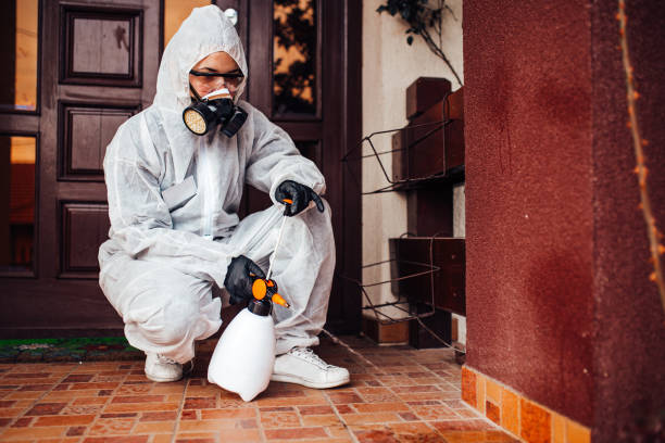 Reliable Ant Control contractor in St. Simons, GA by Show Me Pest Control