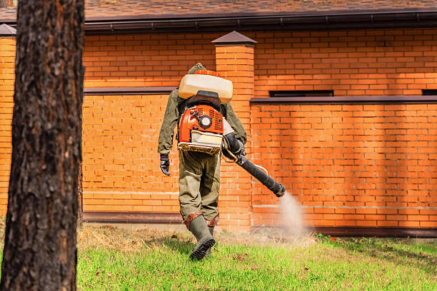 Top rated local Ant Control specialists in St. Simons, GA
